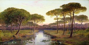Die Pineta, Ravenna