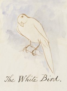 Der weiße Vogel, aus Sechzehn Zeichnungen von komischen Vögeln