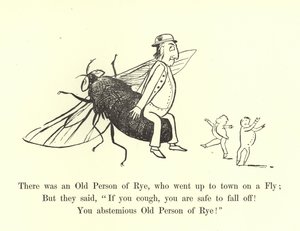 Es war eine alte Person von Rye, die auf einer Fliege in die Stadt ging