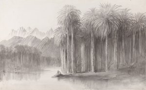 Wady Feiran, Halbinsel des Berges Sinai von Edward Lear
