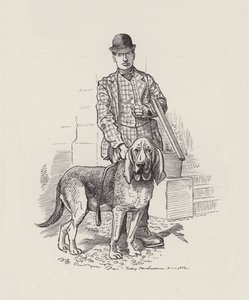 Illustration für Die Wasserkinder von Charles Kingsley