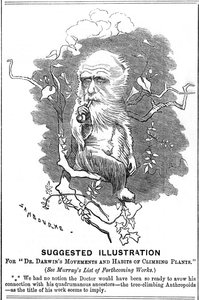 Charles Darwin, englischer Naturforscher, 1875