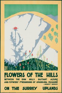 Blumen der Hügel, auf den Surrey-Hochländern