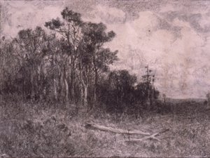 Landschaft, Waldszene