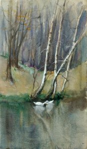 Unbetitelte Waldszene mit Birken und Enten, n.d.
