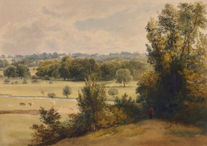 Landschaft mit Bäumen und Feldern