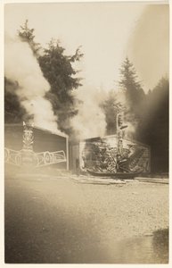 Als die grellen Flammen höher stiegen, malten sie das Meer, das am Fuße eines gespenstischen Waldes leckte, scharlachrot