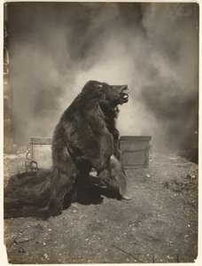 [Lass den trickreichen schwarzen Bären seinen Tanz machen] von Edward S. Curtis