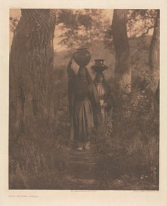 Portfolio XVI, Tafeln 544-579