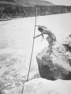 Chinook-Leute, die Lachse im Columbia River speeren von Edward Sheriff Curtis