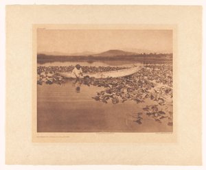 Wokas sammeln - Klamath von Edward Sheriff Curtis