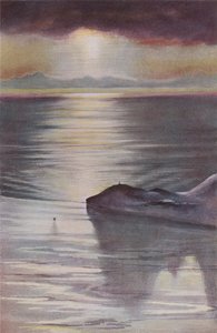 Hut Point vom Observation Hill, 1911, 1913 von Charles Edward Wilson
