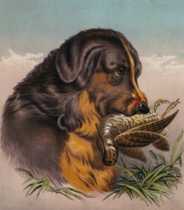 Der Retriever