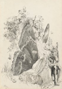 Bottom & Titania, Illustration für Ein Sommernachtstraum