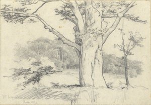 Nr. Lyndhurst, Aug. 1871 von Edwin Austin Abbey
