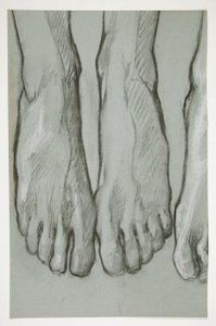 Skizze von drei Füßen (recto); Skizze von einem Fuß (verso)