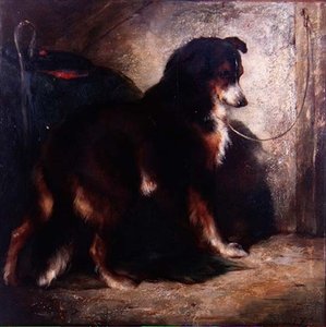 Der Schäferhund von Edwin Douglas