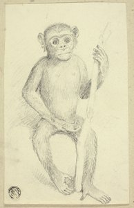 Orang-Utan