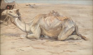 Kamel im Lager des Künstlers mit Beduinen von Edwin John Alexander