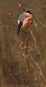 Der Gimpel von Edwin John Alexander