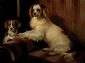 Bon(e)y und Var, um 1843