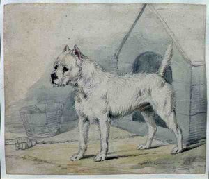 Hund vor einer Hundehütte