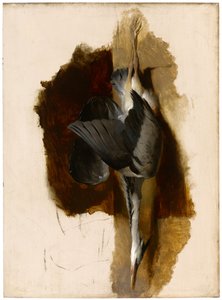 Studie eines toten Reihers, um 1832-33