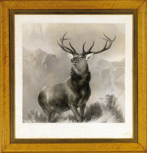 Der Monarch des Glen, 1852