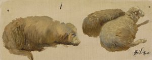 Drei ruhende Schafe von Edwin Landseer