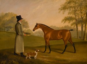 Ein Pferd in einer Landschaft mit dem Stallburschen David Bennet von Edwin W. Cooper