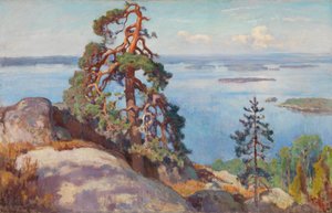 Landschaft von Koli
