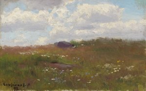 Wiese mit Sommerblumen