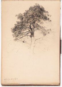 Spitze einer Kiefer, Seite aus Järnefelts Skizzenbuch von Eero Järnefelt
