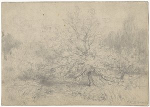 Landschaft mit einem Baum prominent in der Mitte von Egbert Rubertus Derk Schaap