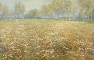 Blühende Wiese von Egbert Schaap