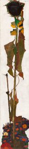 Sonnenblume, 1909-1910 von Egon Schiele