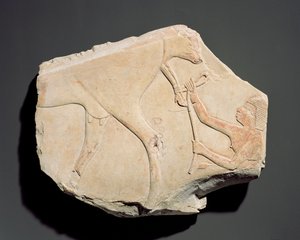 Fragment eines Reliefs, das die Geburt eines Kalbes darstellt, aus Asasif, Theben, Dritte Zwischenzeit