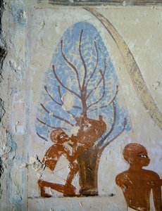 Ein Bauer trinkt aus einem Wasserschlauch