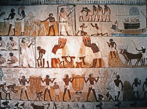 ÄGYPTISCHE KUNST: Ernteszene. Wandmalerei im Grab von Menna in Elwe…, ca. 1400 v. Chr. von Egyptian 18th Dynasty