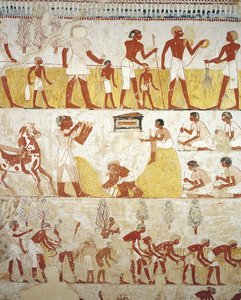 Arbeiten auf den Feldern, Grab des königlichen Gutsverwalters Menna, Theben, Luxor, Ägypten von Egyptian 18th Dynasty
