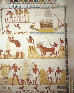 Ägypten, Theben, Luxor, Sheikh 