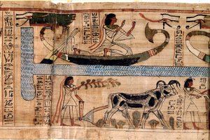 Ägyptische Antiquität: der Name des Verstorbenen Aner auf dem Boot des Osiris, Szene des Pflügens und Wiegens der Seelen (Psychostase). Papyrus aus einem Totenbuch, 20. Dynastie, aus Theben. Turin, Ägyptisches Museum von Egyptian 18th Dynasty