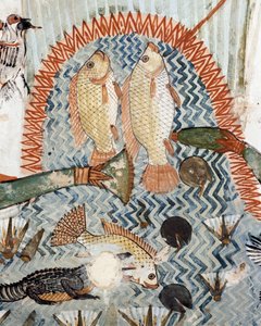 Fisch, Detail aus der Szene des Jagens und Fischens in den Sümpfen, Fresko, Nordwand, Längskammer, Thebanisches Grab TT69, Sheikh Abd el-Qurna, Theben (Unesco-Weltkulturerbe) von Egyptian 18th Dynasty