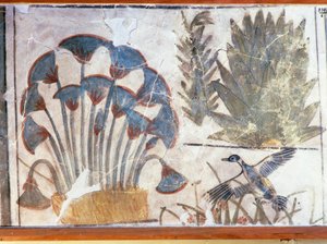 Malerei, die eine Ente zwischen Pflanzen darstellt, aus dem Palast von Echnaton, El-Awara, Ägypten von Egyptian 18th Dynasty