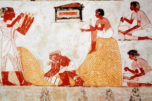 Grab des Menna: Landwirtschaftliche Szene: Getreideernte überwacht von einem Schreiber, der die Ernte aufzeichnet (Fresko) von Egyptian 18th Dynasty