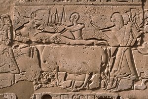 Detail eines Reliefs, das Männer zeigt, die eine Kuh führen, Hof von Ramses II (1298-32 v. Chr.) von Egyptian 19th Dynasty