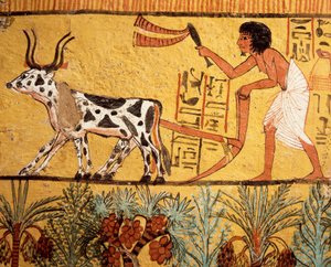 Ägypten, Antikes Theben, Deir el-Medina, Grab von Sennedjem, Wandmalerei, die Sennedjem beim Pflügen der Felder von Iaru darstellt von Egyptian 19th Dynasty