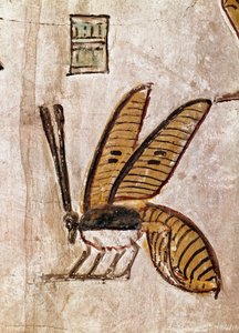 Ägyptische Kunst: Grab von Sethos I. (Detail der Biene)