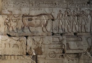 Relief, Tempel von Ramses II, Abydos, Ägypten, ägyptische Zivilisation, Neues Reich, Dynastie XIX von Egyptian 19th Dynasty