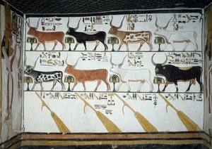 Sieben himmlische Kühe, Ehemann Stier und vier Steuerpaddel, Kapitel 148 des Totenbuchs (Detail) von Egyptian 19th Dynasty